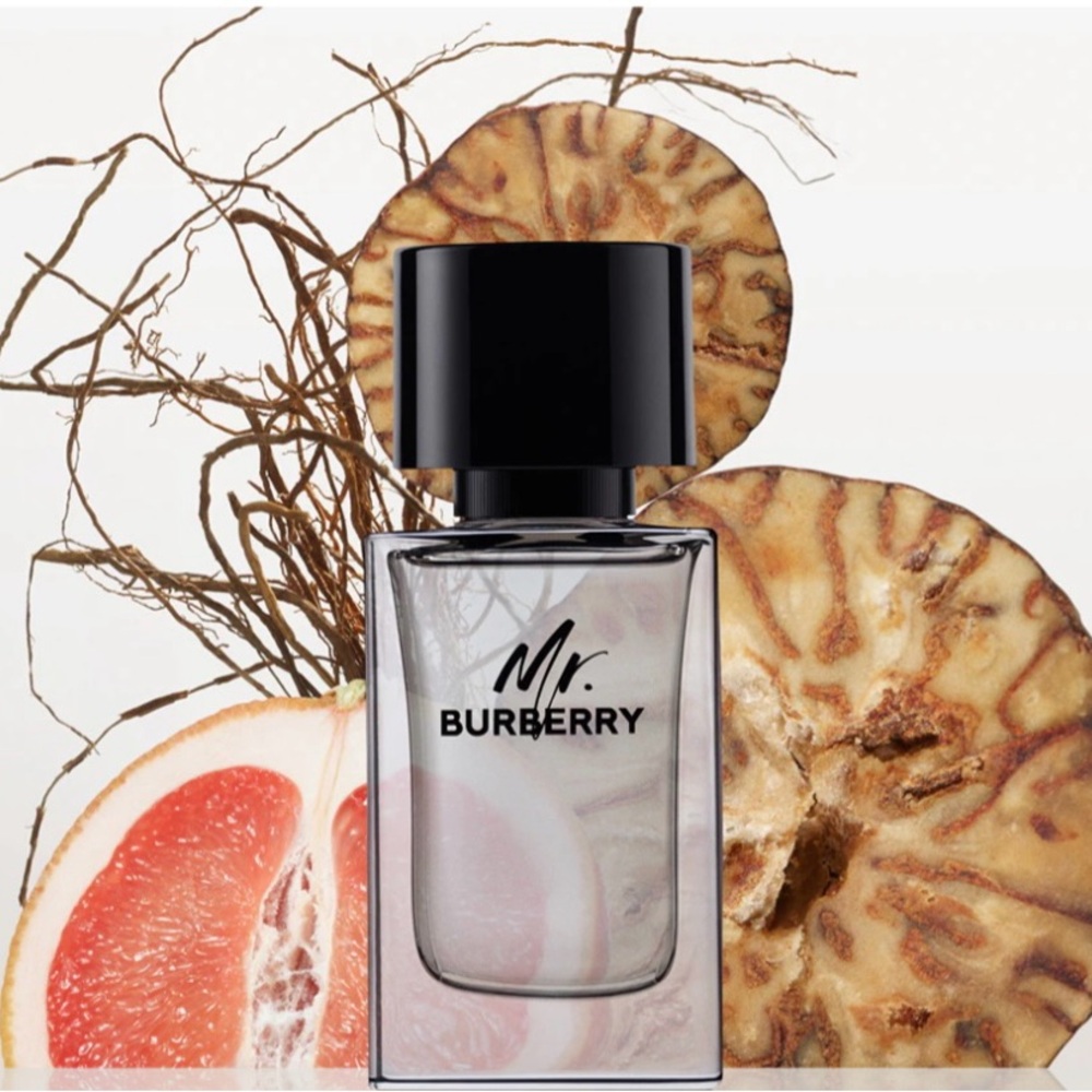 Burberry Mr. Burberry Eau de Toilette -  50 ml.